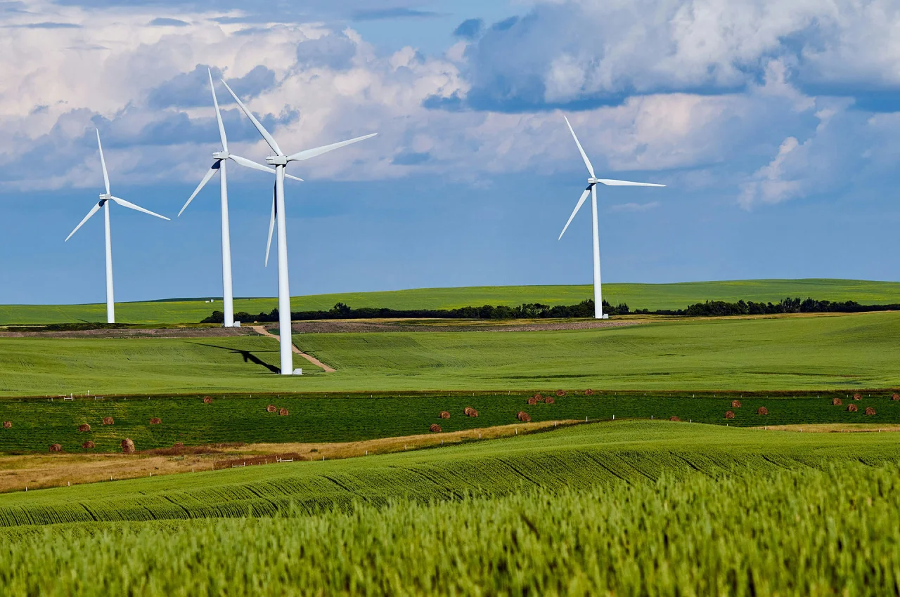 Drei große weiße Windkraftanlagen stehen auf weitläufigen, grünen Hügeln unter einem bewölkten Himmel.