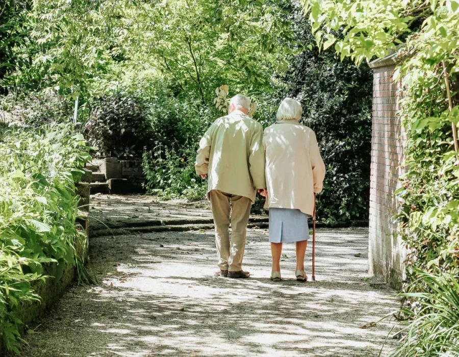 Ein älteres Paar geht an einem sonnigen Tag im Park spazieren. Man sieht sie von hinten Hand in Hand gehen.