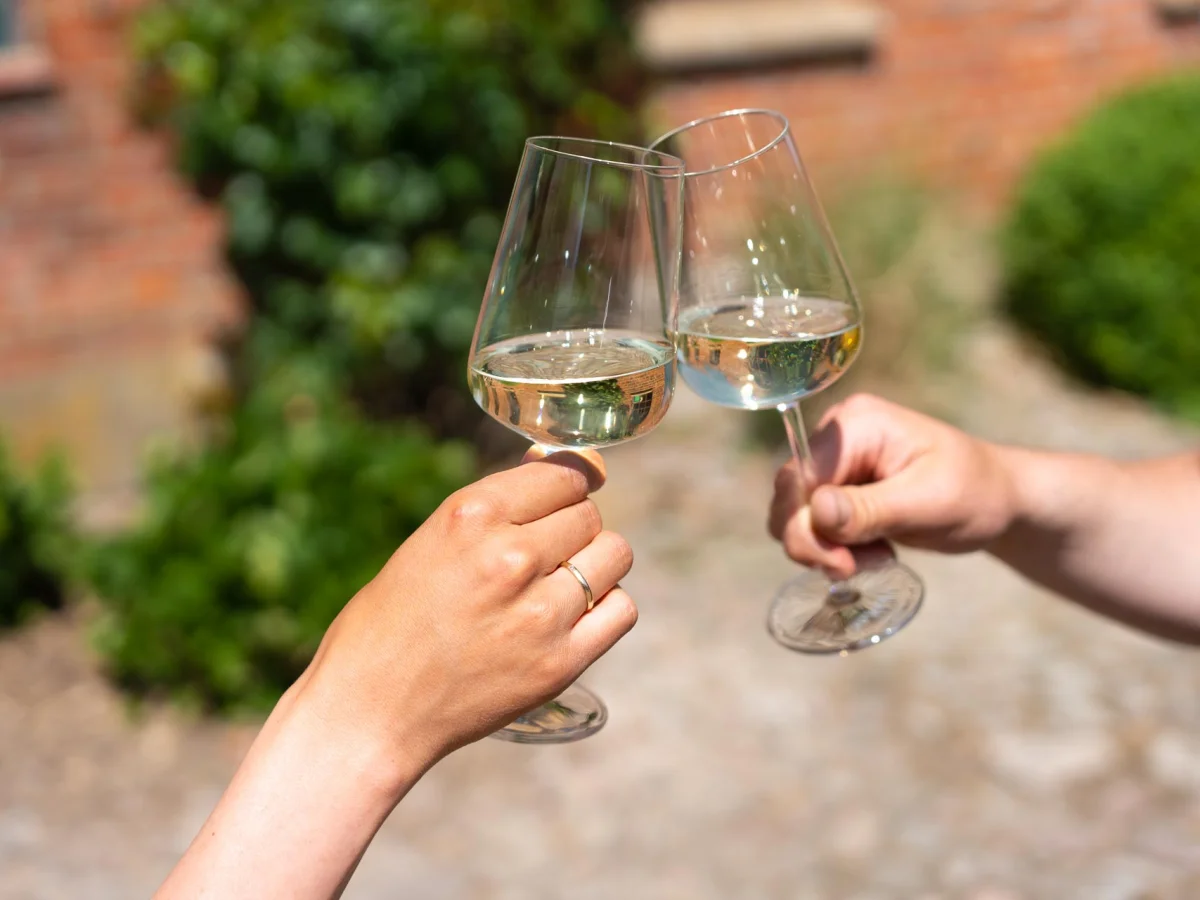 Zwei Hände stoßen mit Weingläsern mit weißem Wein an, unscharfer Hintergrund mit Backsteinmauer und Grünpflanzen.